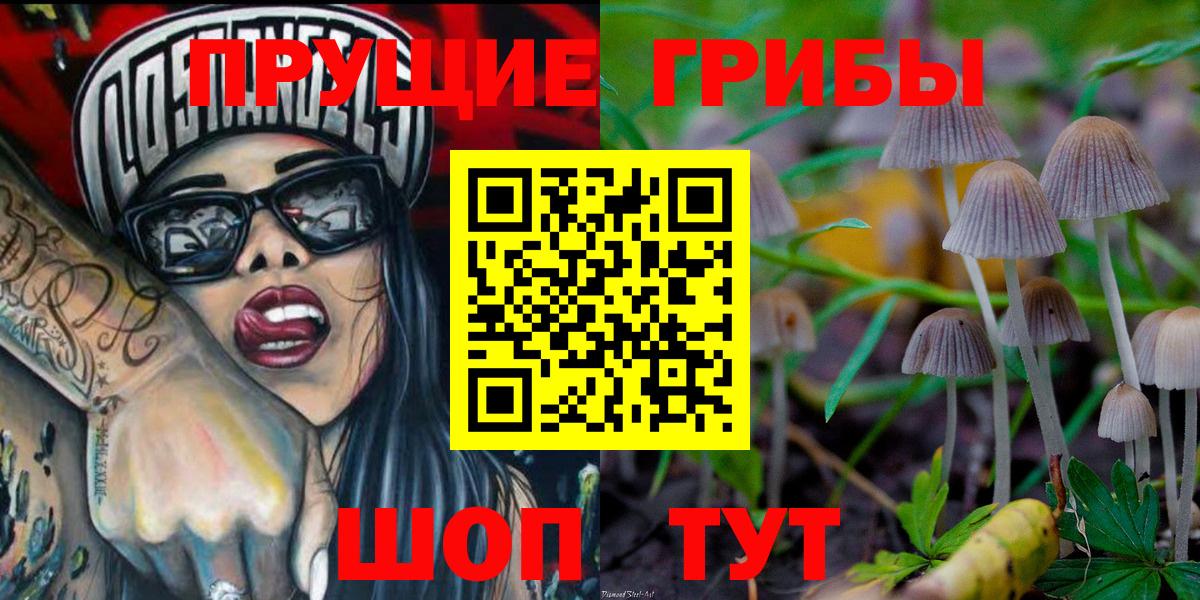 Галлюциногенные грибы GOLDEN TEACHER Печора