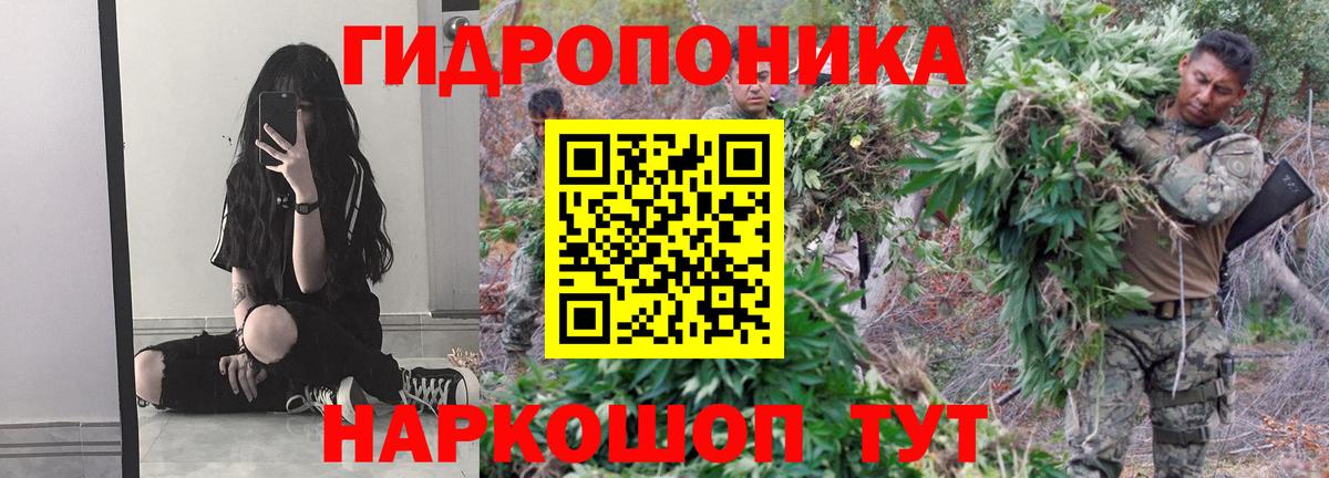 Шишки марихуана Ganja Печора